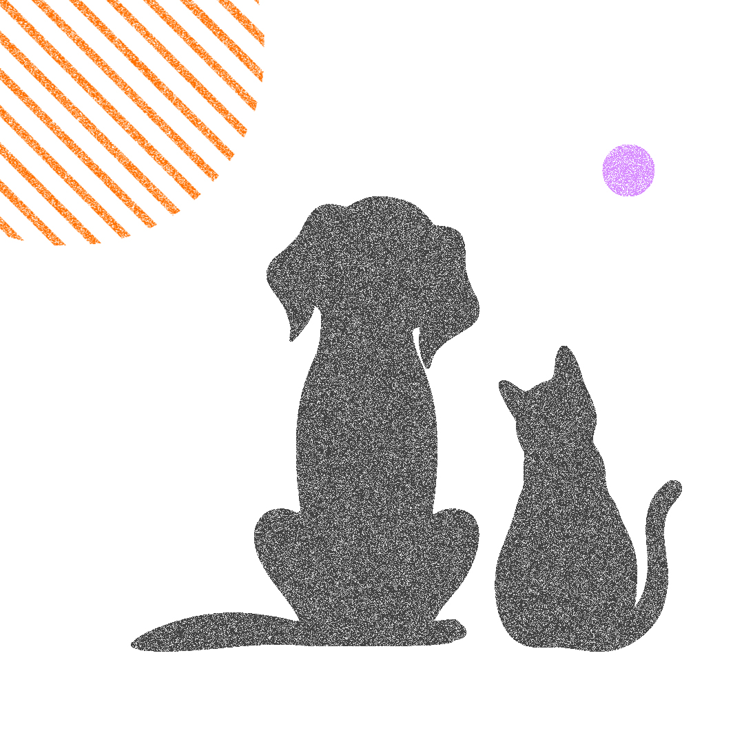 Яка депутатка внесла у декларацію «собаку-тапки-погризаку» і «котика-муркотика»?