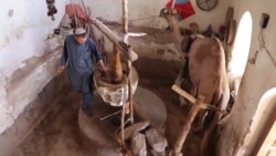 Afghanistan's Camel-Powered Kharasi Workshops All But Gone