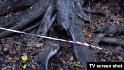 Кадр из фильма Андрея Звягинцева "Нелюбовь"