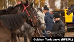 Кыргызстандагы мал базарлардын бири. Архив.