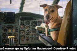 Чапаті подорожує у будь-якому транспорті