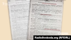 Дружина Ковальчука купила корпоративні права на фірму, що володіє майном на 130 мільйонів, за 78 тисяч