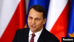 Сікорський додав, що Польща готова надати логістичну підтримку, якщо ця ідея переросте у фактичну ініціативу