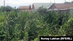 Дома недалеко от канала, где протекают канализационные воды. Село Коксай Алматинской области, 18 июля 2012 года.