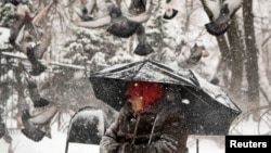 Голуби рядом с женщиной, просящей подаяние в Алматы. 7 декабря 2014 года.