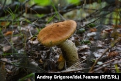 Ілюстрацыйнае фота