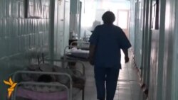 Жер-жемиштен уулангандар көбөйдү