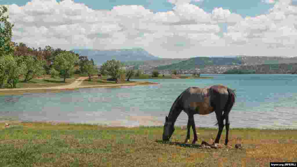 Erte baarden keç küzgece yalıda atlarğa rastkelmek mümkün. Olar baylı olmasa da, kimseni raatsızlamay