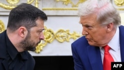 Владимир Зеленский и Дональд Трамп, архивная фотография