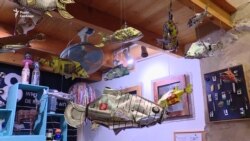 Як в Іспанії художники й дизайнери заробляють на смітті? (відео)