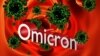 Упродовж кількох тижнів «омікрон» стане домінантним штамом у Європі – ECDC