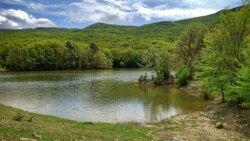 Водоймище в селі Багата Ущелина