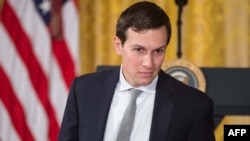 Джаред Кушнер