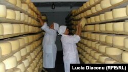 Заборона на ввезення українського сиру є політично вмотивована – фахівці