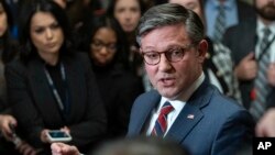 Майк Джонсон сказав, що законопроєкт буде «нежиттєздатним після прибуття в Палату представників», якщо витік щодо його змісту є правдивим