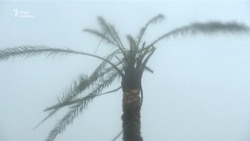 توفان هاروی