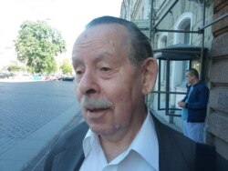 Яків Гордін, історик