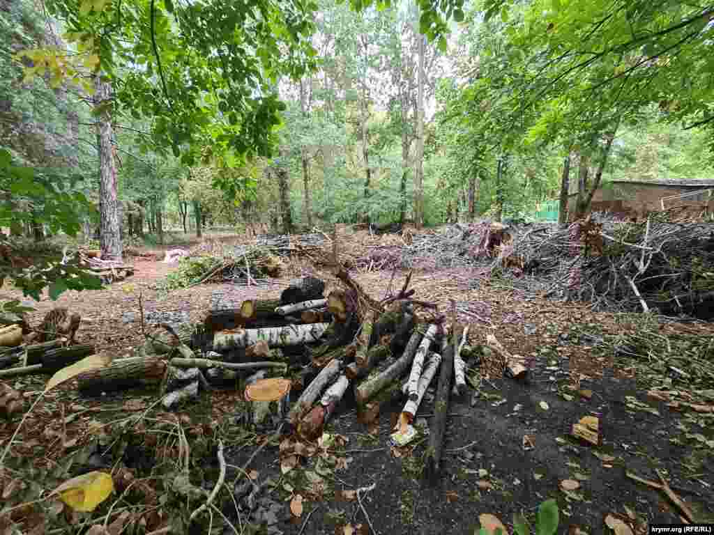 Деревья вырубаются ускоренными темпами и в Гагаринском парке на нужды российских военных