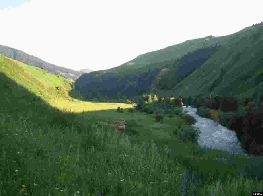 Арзыгүл: Түшүмө кирдиң түндө сен... #8