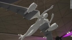 В Пулково отменены рейсы в Египет