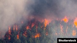 Жертвами лісових пожеж у Австралії стали три людини