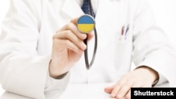 До перевірки включили 2 630 справ співробітників понад 70 державних органів, яким встановили інвалідність