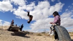 Далада ойнап жүрген балалар. Көрнекі сурет.