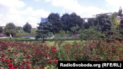 Троянди у Донецьку