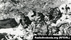 Місце першого розкопу у Сандармосі. Ось що побачили представники Санкт-петербурзького “Меморіалу” і Юрій Дмитрієв 1 липня 1997 року. 