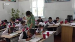 "На рӯз хобем, на шаб, аз дасти пашша безор шудем"