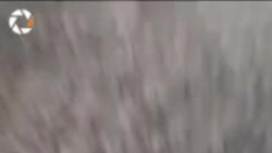 Türkmenabadyň bazarynda 'arzan' günebakar ýagy satuwa çykaryldy