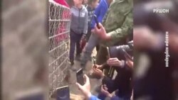 В Бартанге отловлен снежный барс, растерзавший поголовье скота местных жителей