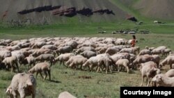 Иллюстративное фото. 