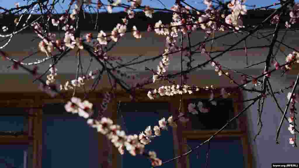 Orta asır kermeniniñ qullesi yanında qaysı teregi