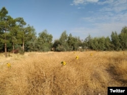 گورستان خاوران