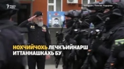 1ADAT: Нохчийчохь цхьана баттахь лачкъийна 74 стаг 