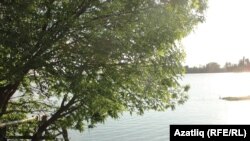 Болда ерыгы (елгасы)