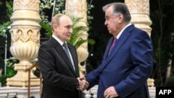 Володимир Путін (л) і Емомалі Рахмон, Душанбе, Таджикистан, 8 жовтня 2025 року