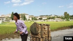 احتمال می رود کره شمالی دست کم ظرف يک سال آينده با بحران کمبود مواد غذايی رو به رو شود.