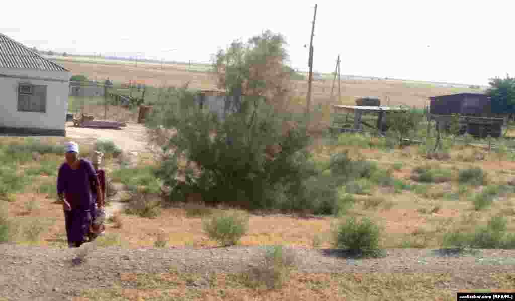 Gäwersli &nbsp;ýaşaýjylar