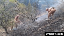 Зоминдаги ўрмон ёнғинини бартараф этишда иштирок этган ходимлар (ФВВ фотоси)