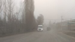 Шагыл менен жамалган жол