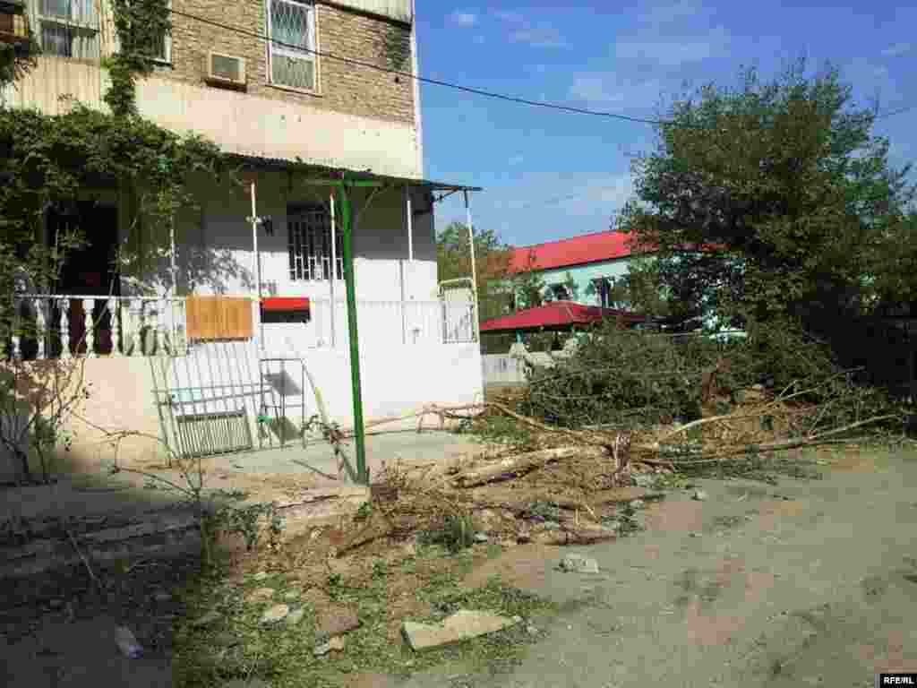 "Bolýan zatlara ýüregim çydanok" #7