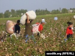 Ўқувчи ва ўқитувчилар эса далада тер тўкади.