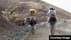 تصویر، آرشیوی است.