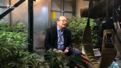 Бывший советник шести президентов США теперь выращивает марихуану (видео)