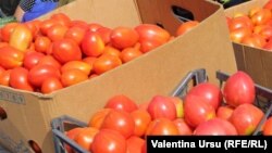 Illýustrasiýa suraty