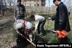Манат Утеулиева, мать убитого эколога Нурлана Утеулиева, и гражданские активисты сажают дерево. Поселок Тастыбулак Алматинской области, 5 апреля 2013 года.