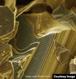 Гогоці переконаний, що надважливим завданням сьогодні є популяризація науки, тож він та його команда намагаються схрестити її з мистецтвом, демонструючи широкому загалу оброблені знімки наноструктур, які часто набувають дражливої для уяви форми (оригінали зображень, отримані за допомогою електронних мікроскопів, чорно-білі)