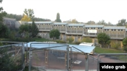 Віденський притулок Wiener Tierschutzverein приймає тварин із Австрії, Угорщини, Хорватії та Білорусі